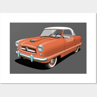 nash metropolitan in coral Posters and Art